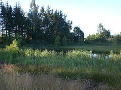 Rezerwat przyrody Staniszewskie Zdroje